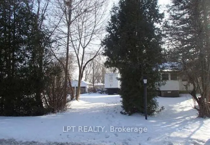 91  Lilly W Street, New Tecumseth, ON L0G 1A0