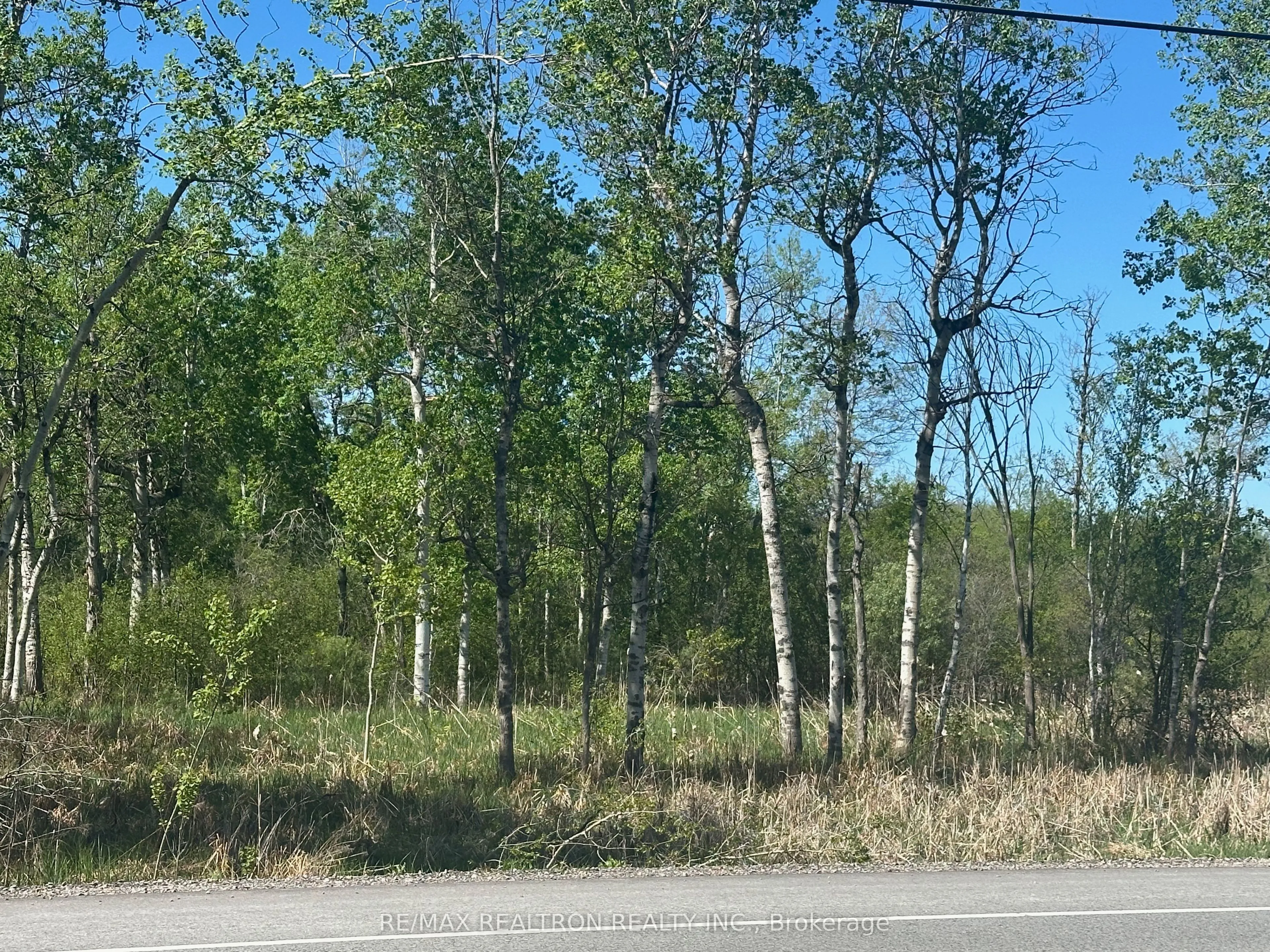 Vacant Land For Sale | N12831496