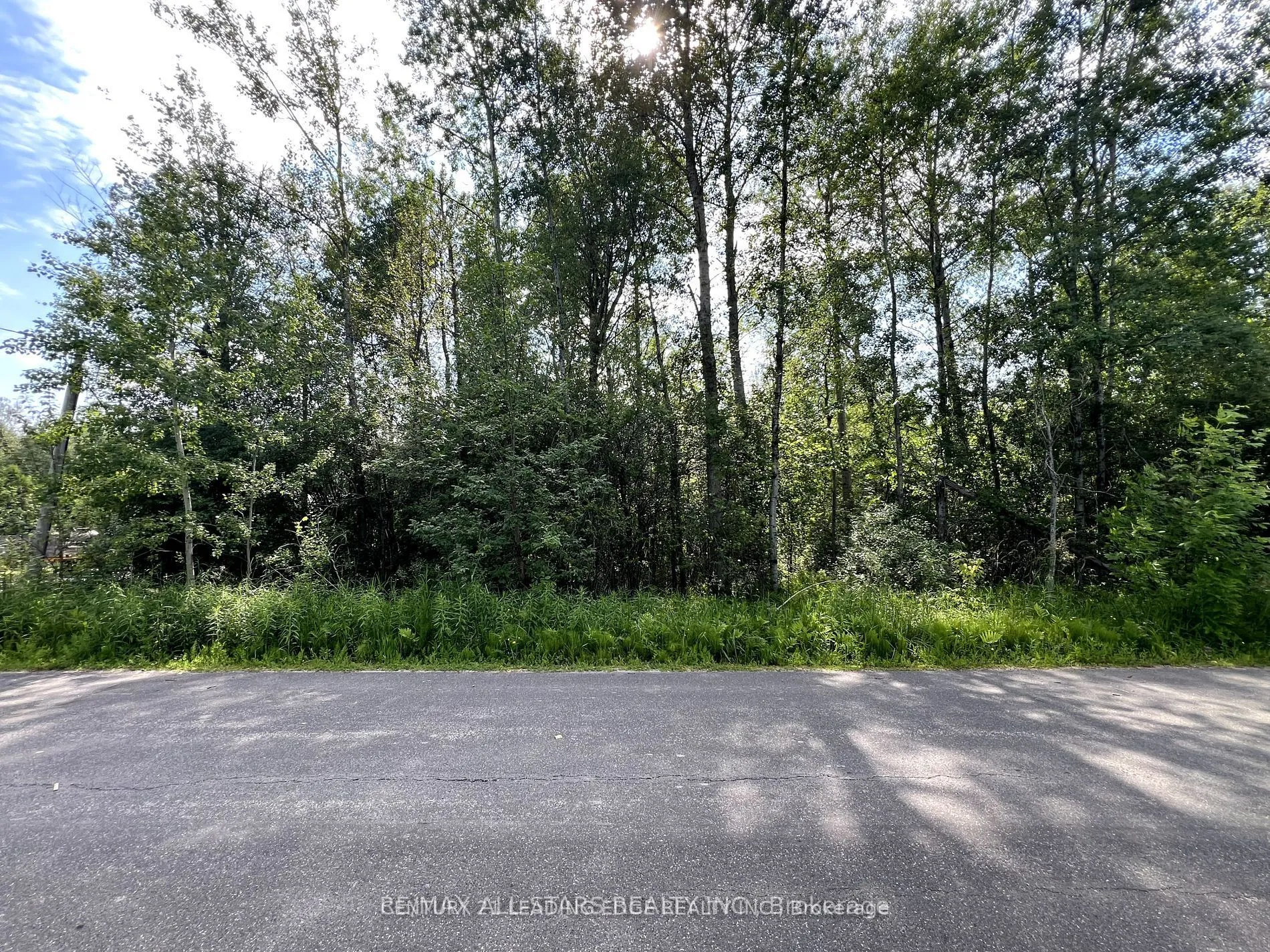 Vacant Land For Sale | N12861008