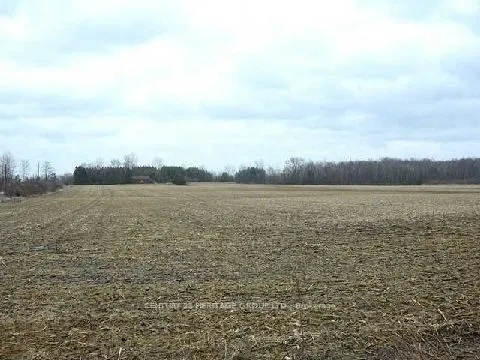 Vacant Land For Sale | N12864074