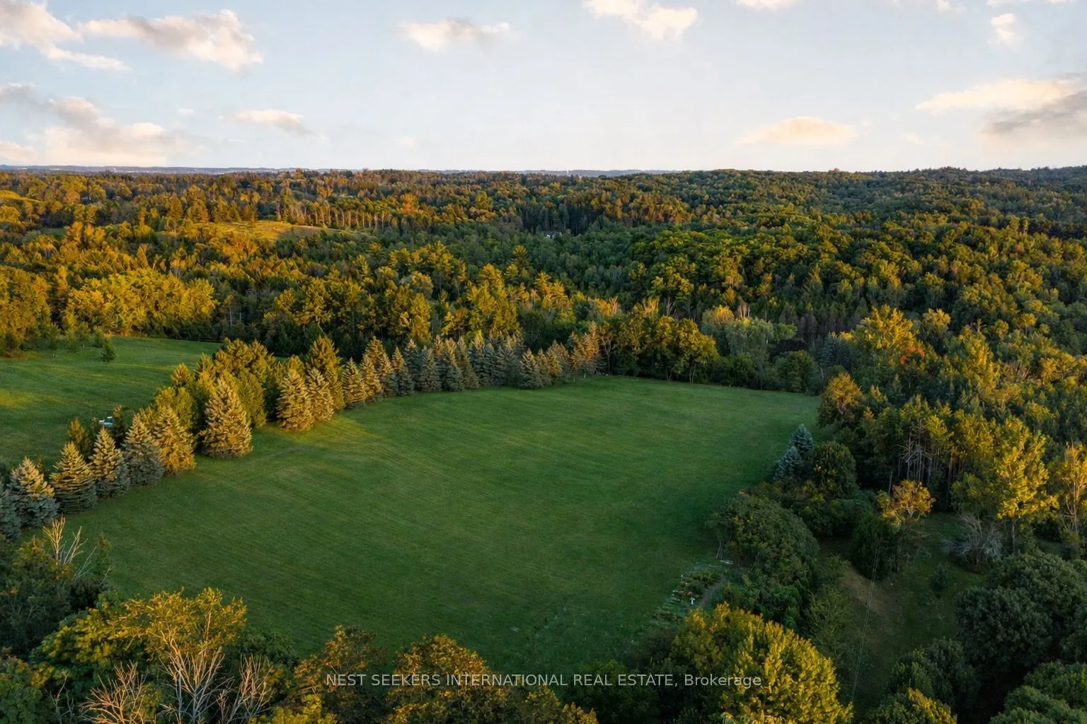 Vacant Land For Sale | N12903926