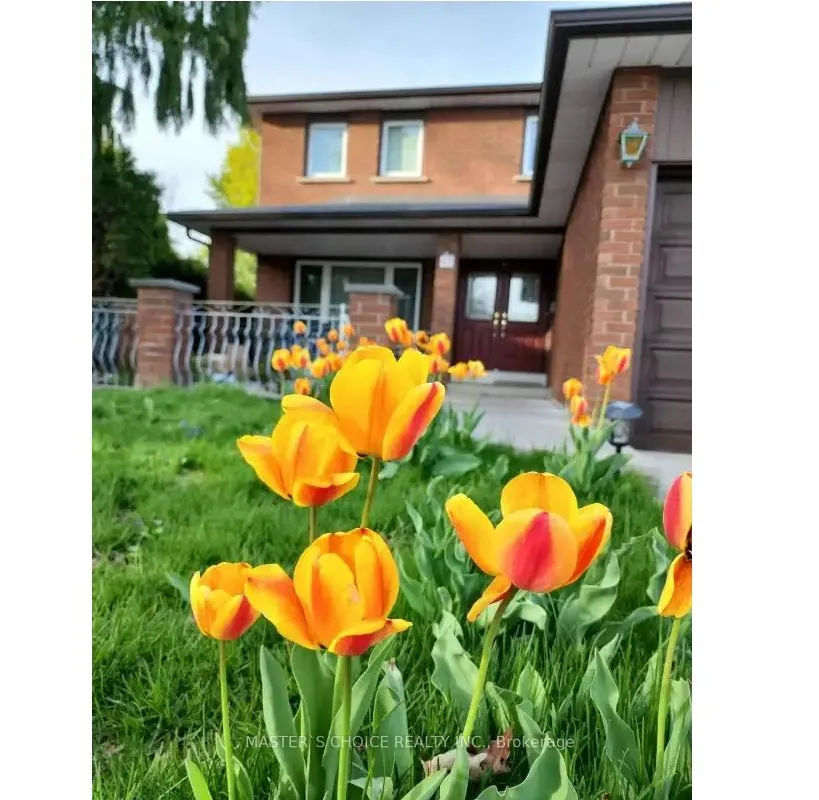 Detached Home For Lease | N12955306