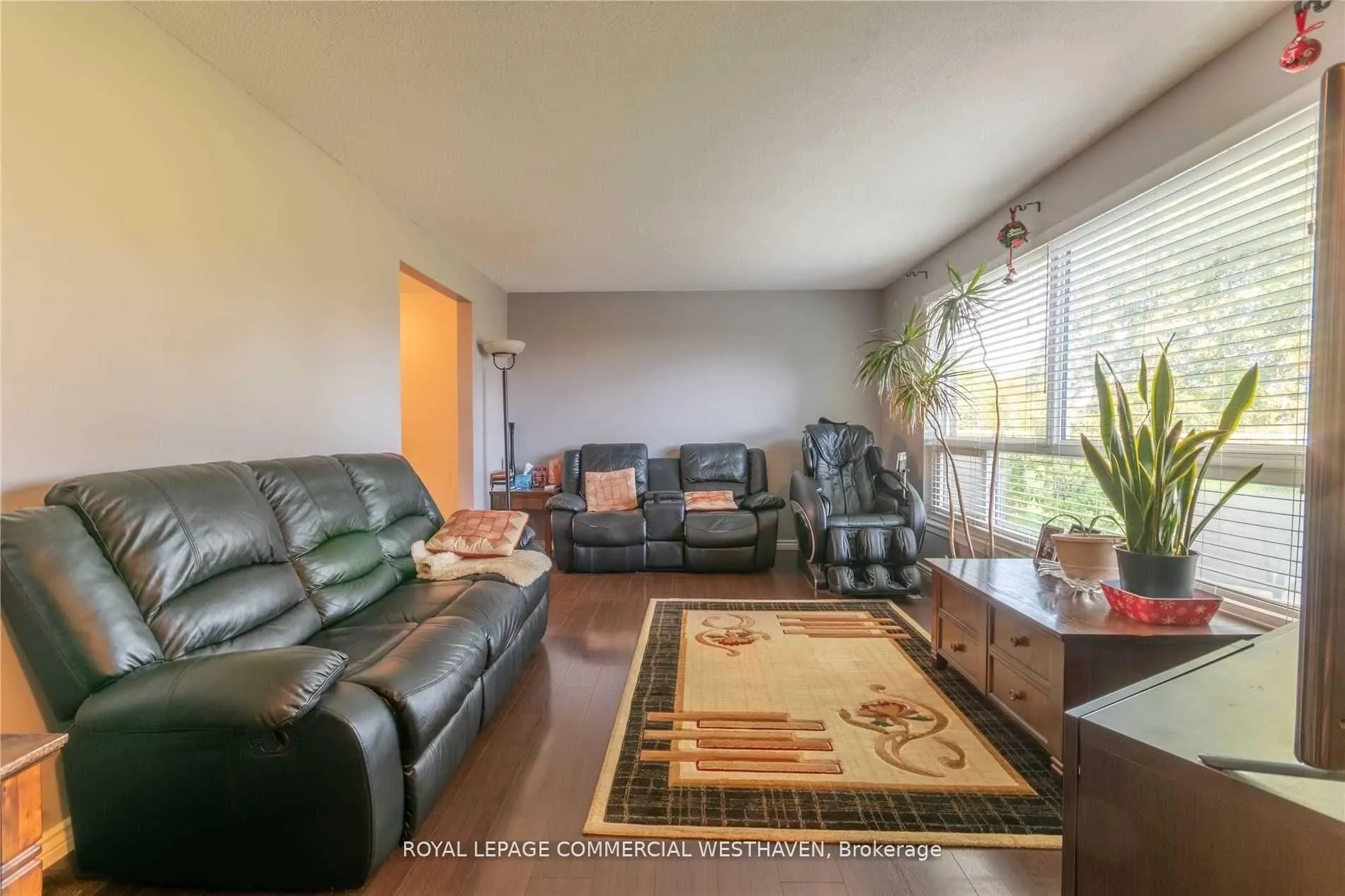 Detached Home For Sale | N12998070