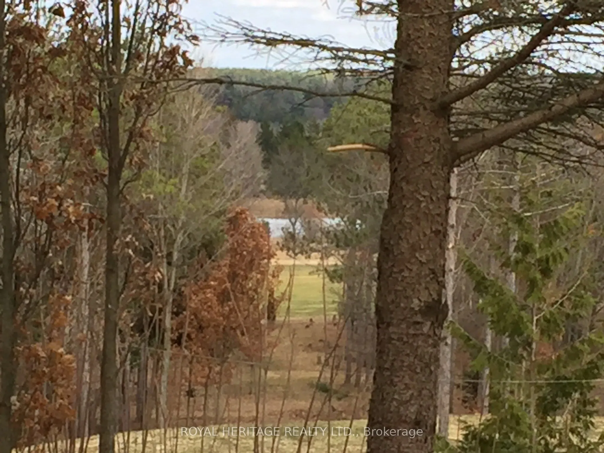 Vacant Land For Sale | N13181074