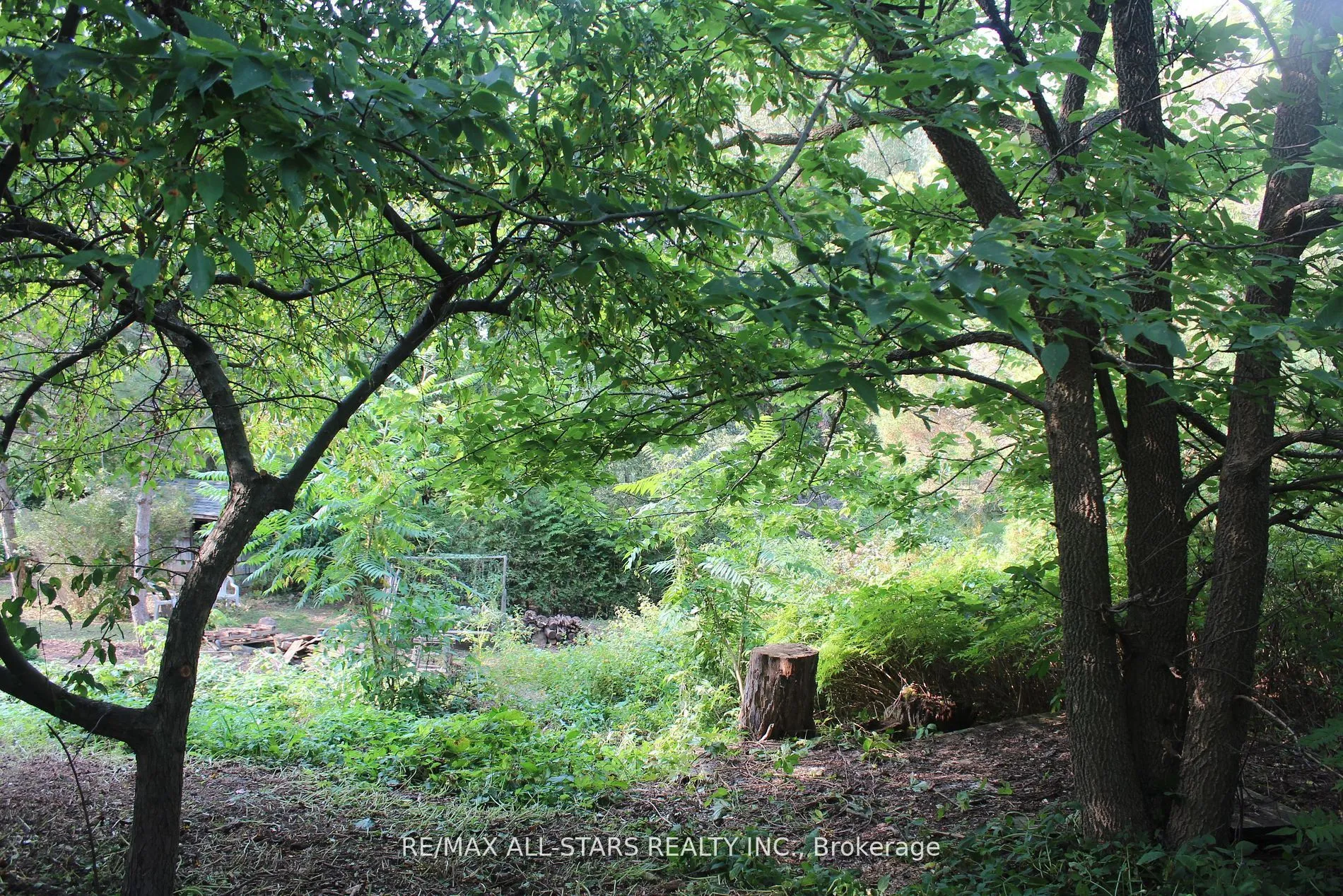 Vacant Land For Sale | N13251382