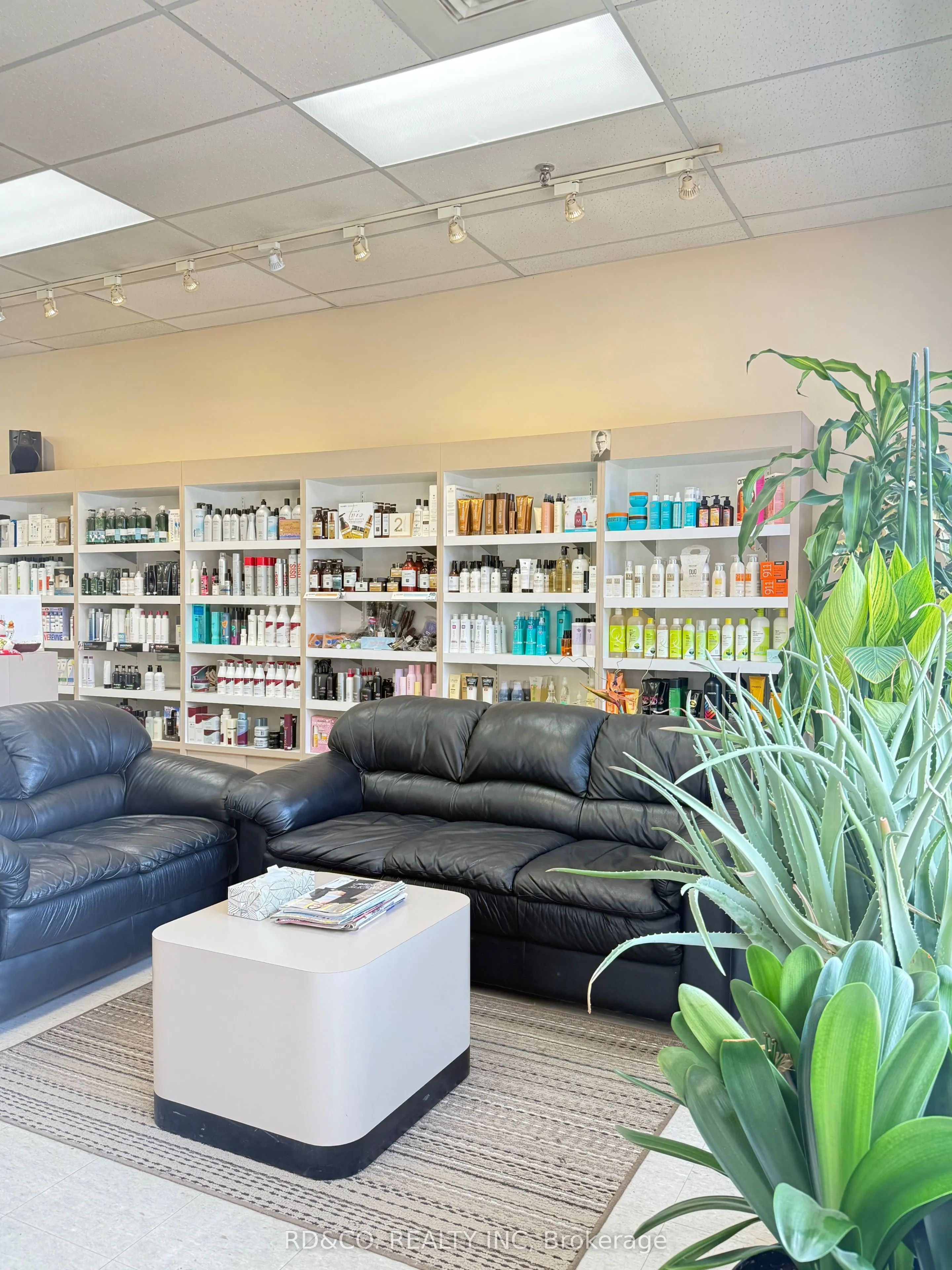 Business For Sale | N13477992