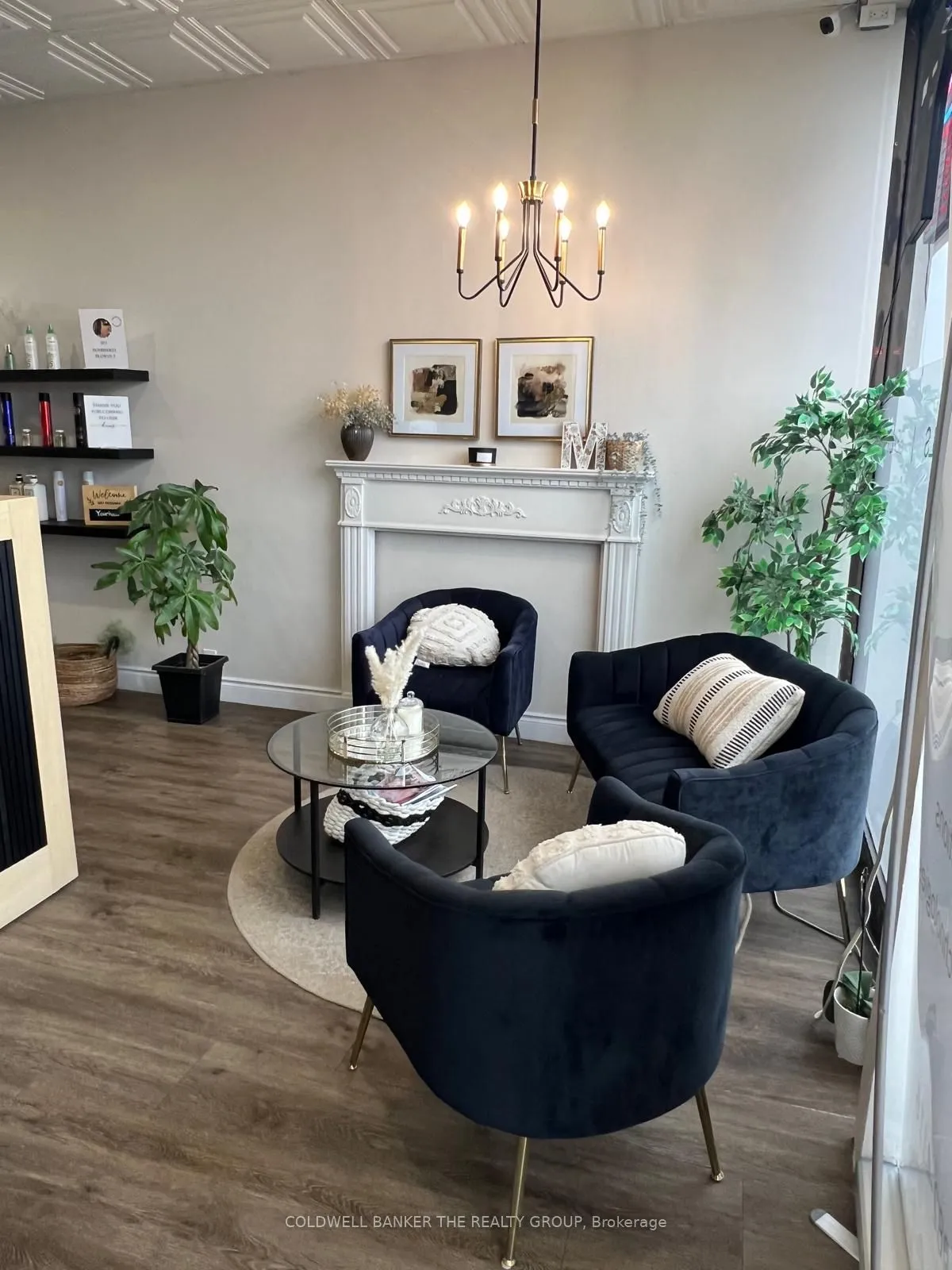 Business For Sale | N13533760