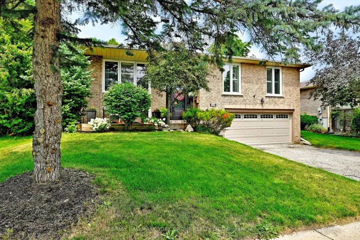 Welcome to 559 Haines Rd!