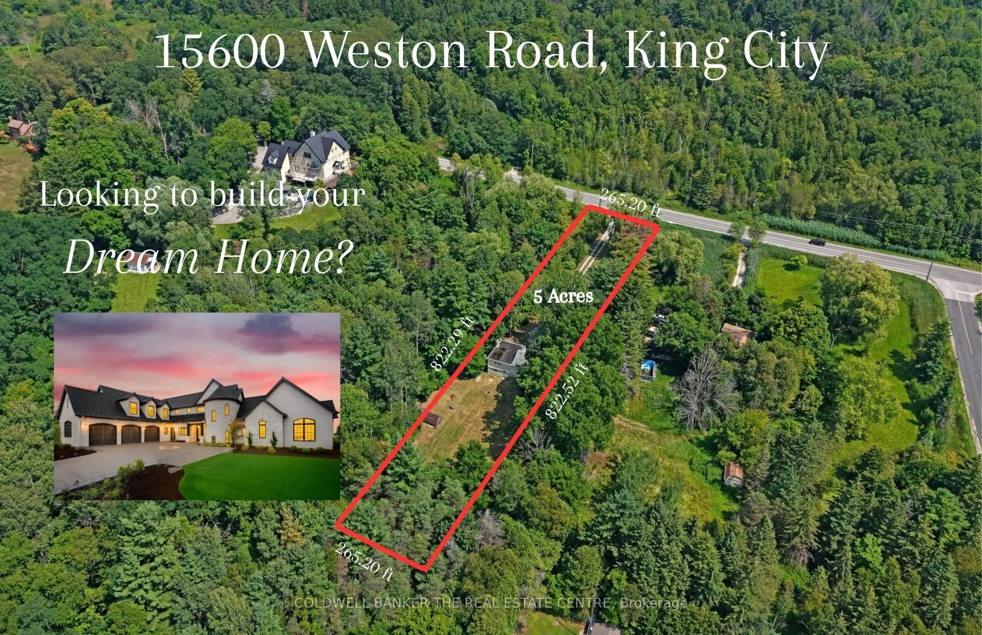 Detached Home For Sale | N13672242