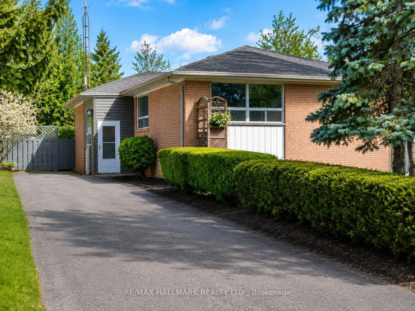 Detached Home For Lease | N13685096