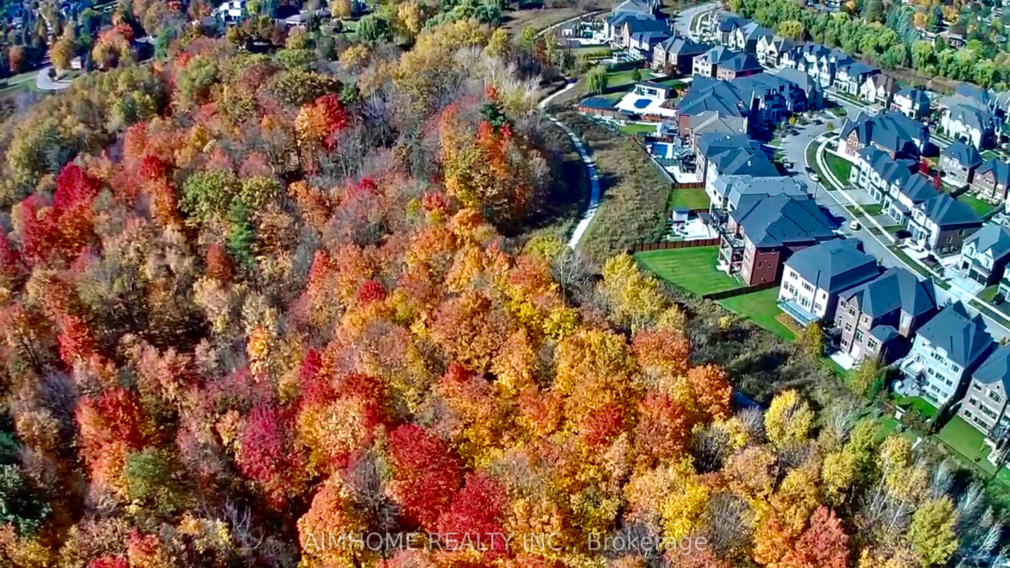 Detached Home For Lease | N13704946