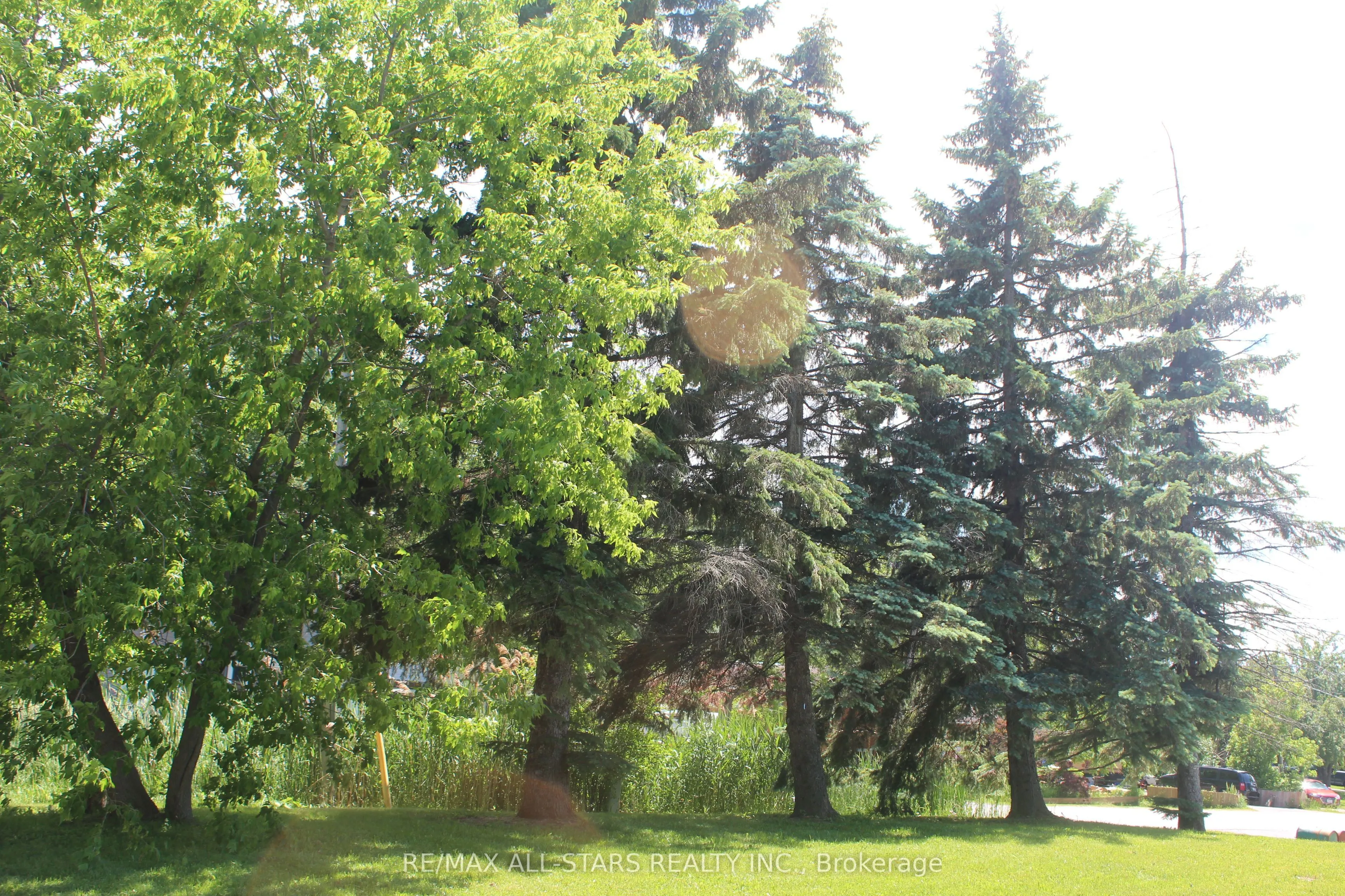 Vacant Land For Sale | N13732534