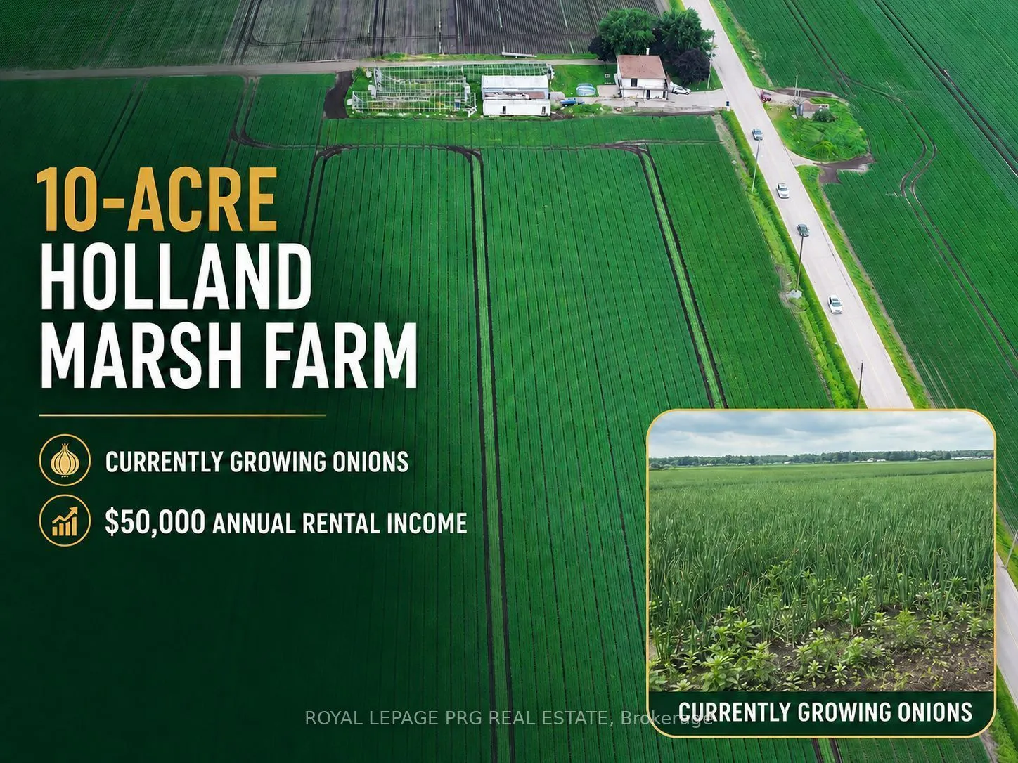 Farm For Sale | N13738914