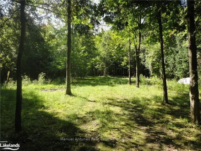 LT 31  MIGHTON  Court, Clearview, ON L0M 1S0