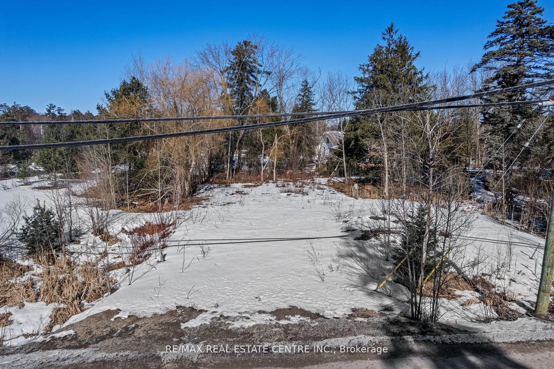 Land For Sale | S11970292