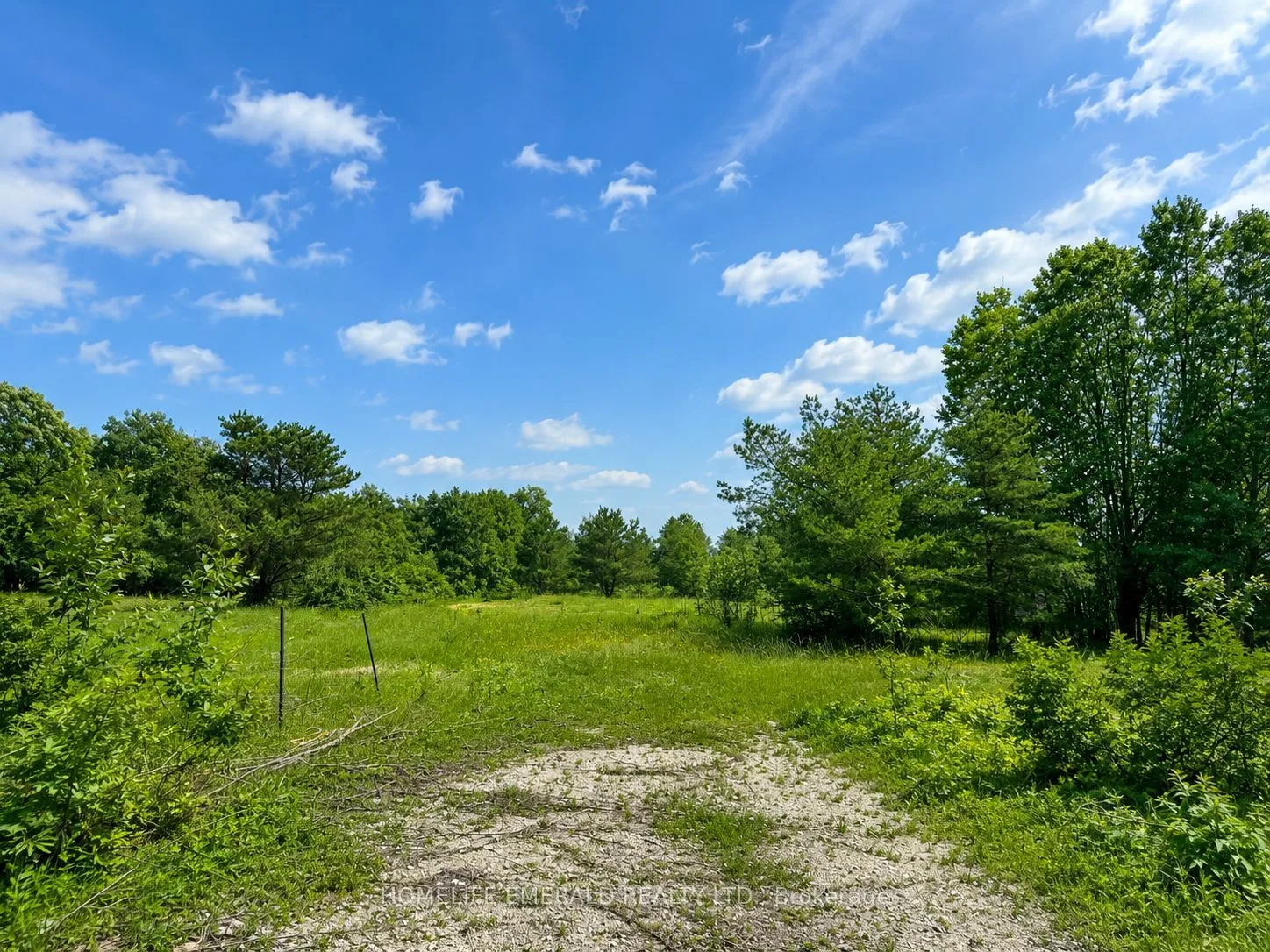 Vacant Land For Sale | S12595256