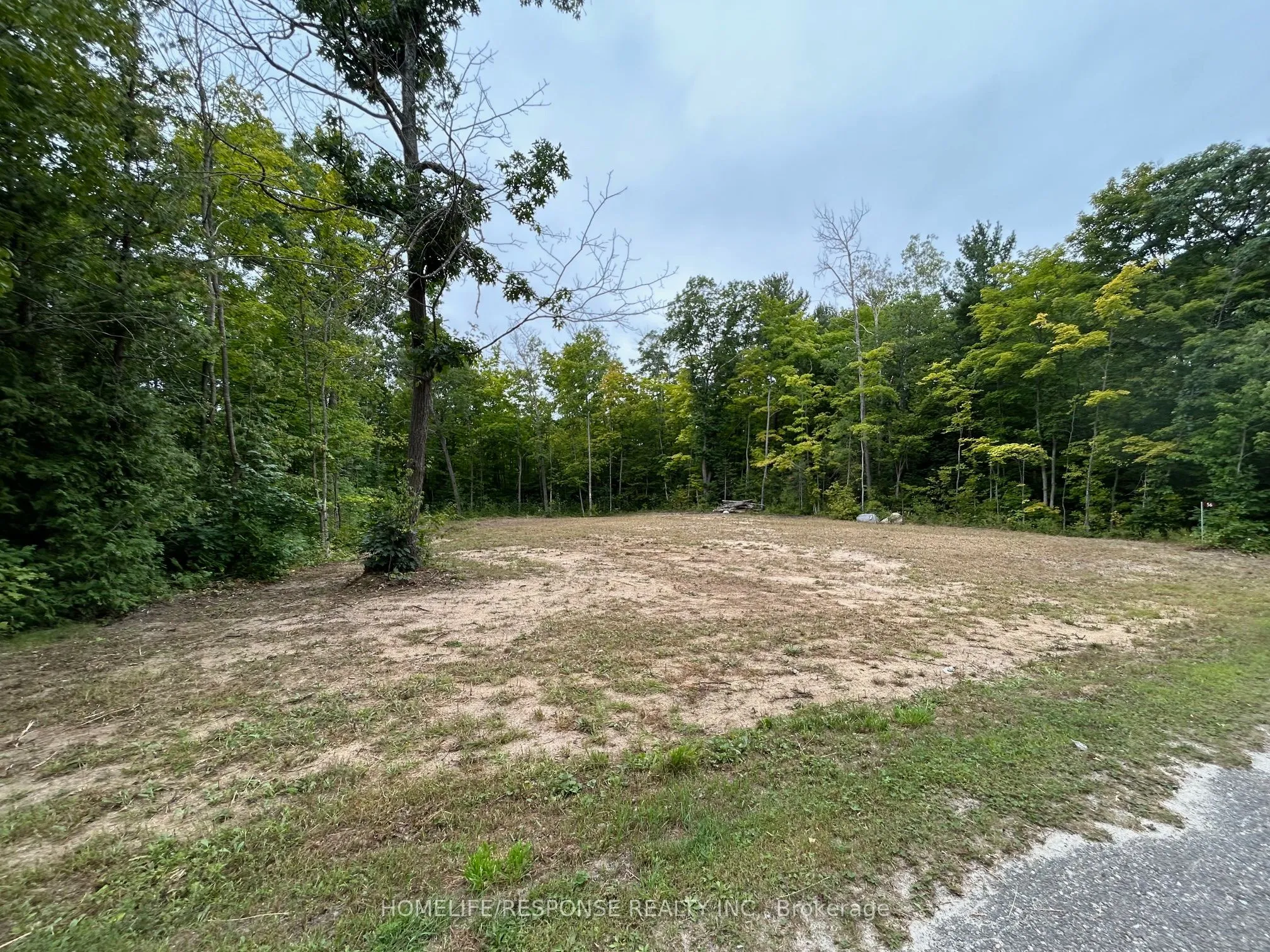 Vacant Land For Sale | S12721480