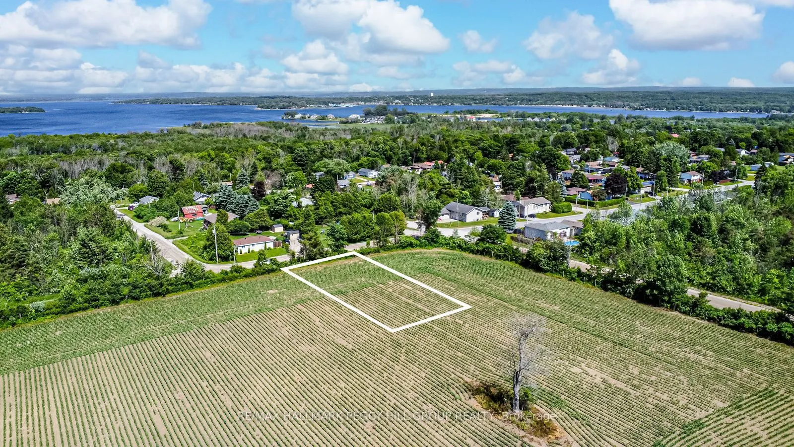 Vacant Land For Sale | S12784396