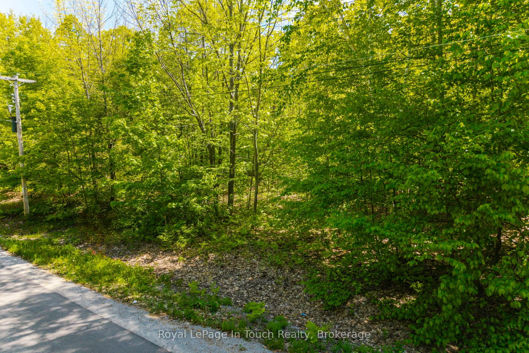 Vacant Land For Sale | S12933874