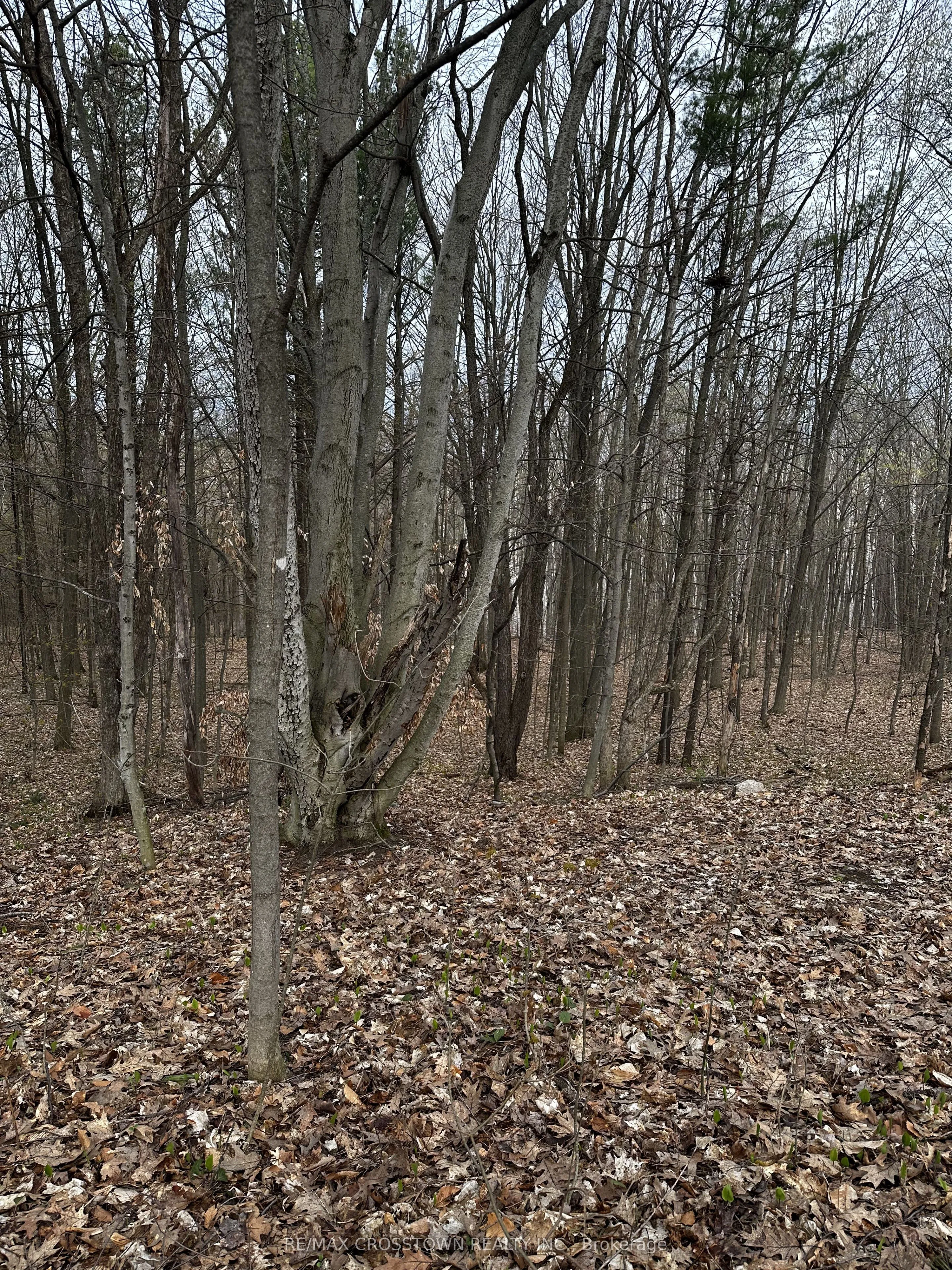 Vacant Land For Sale | S13088942