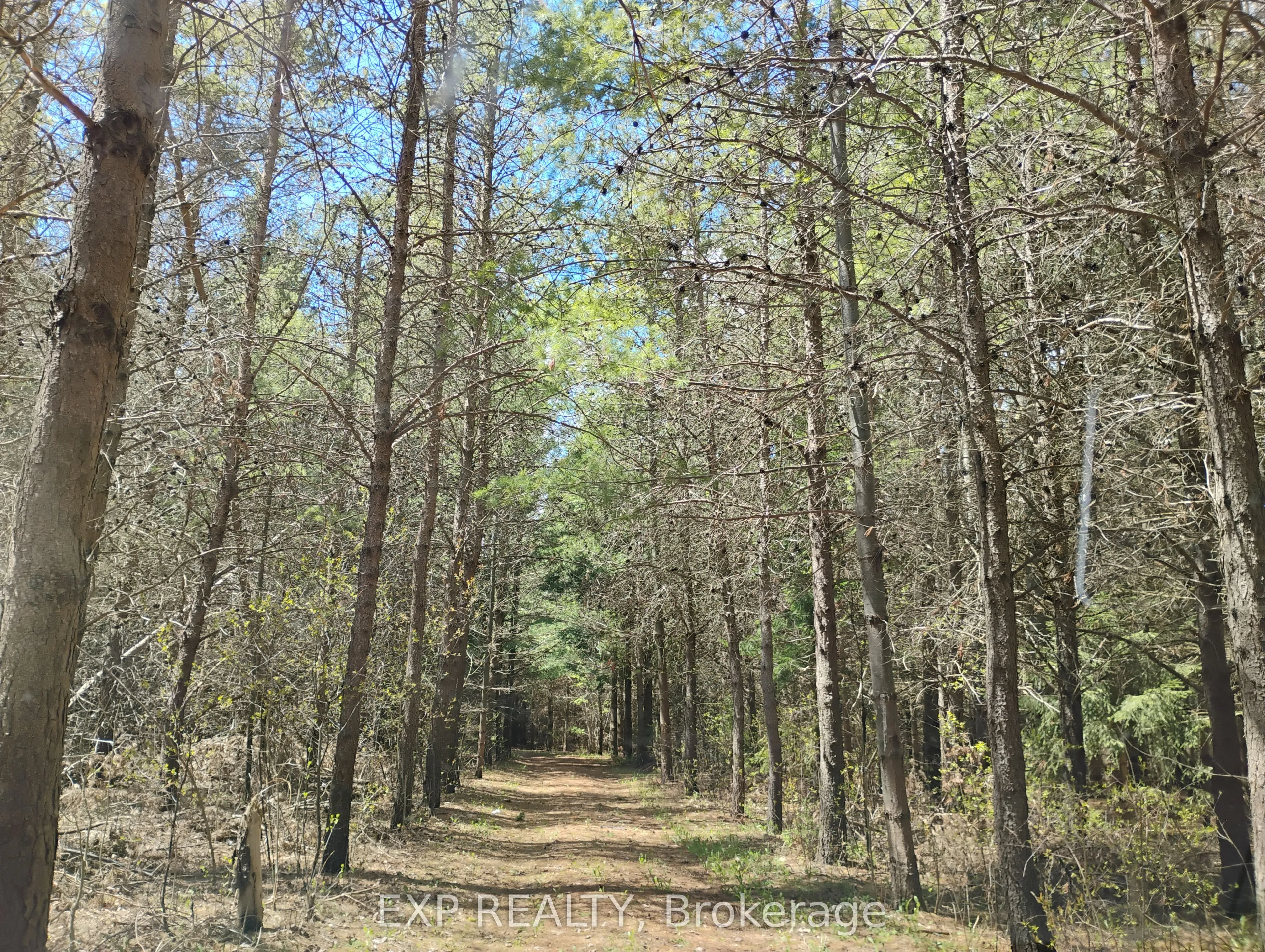 Vacant Land For Sale | S13103576