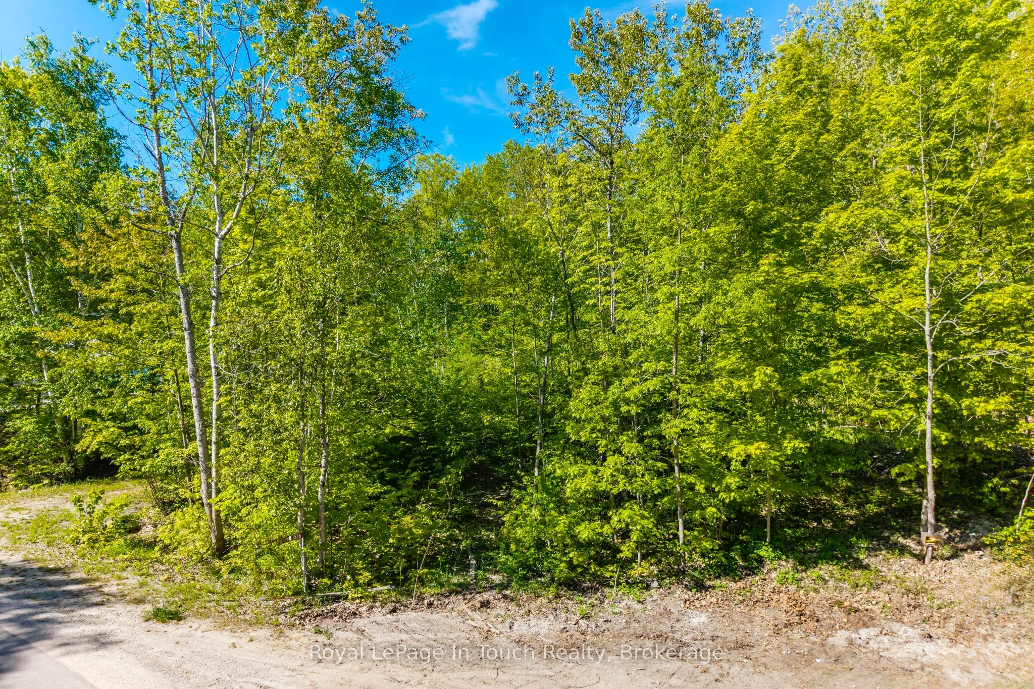 Vacant Land For Sale | S13163222