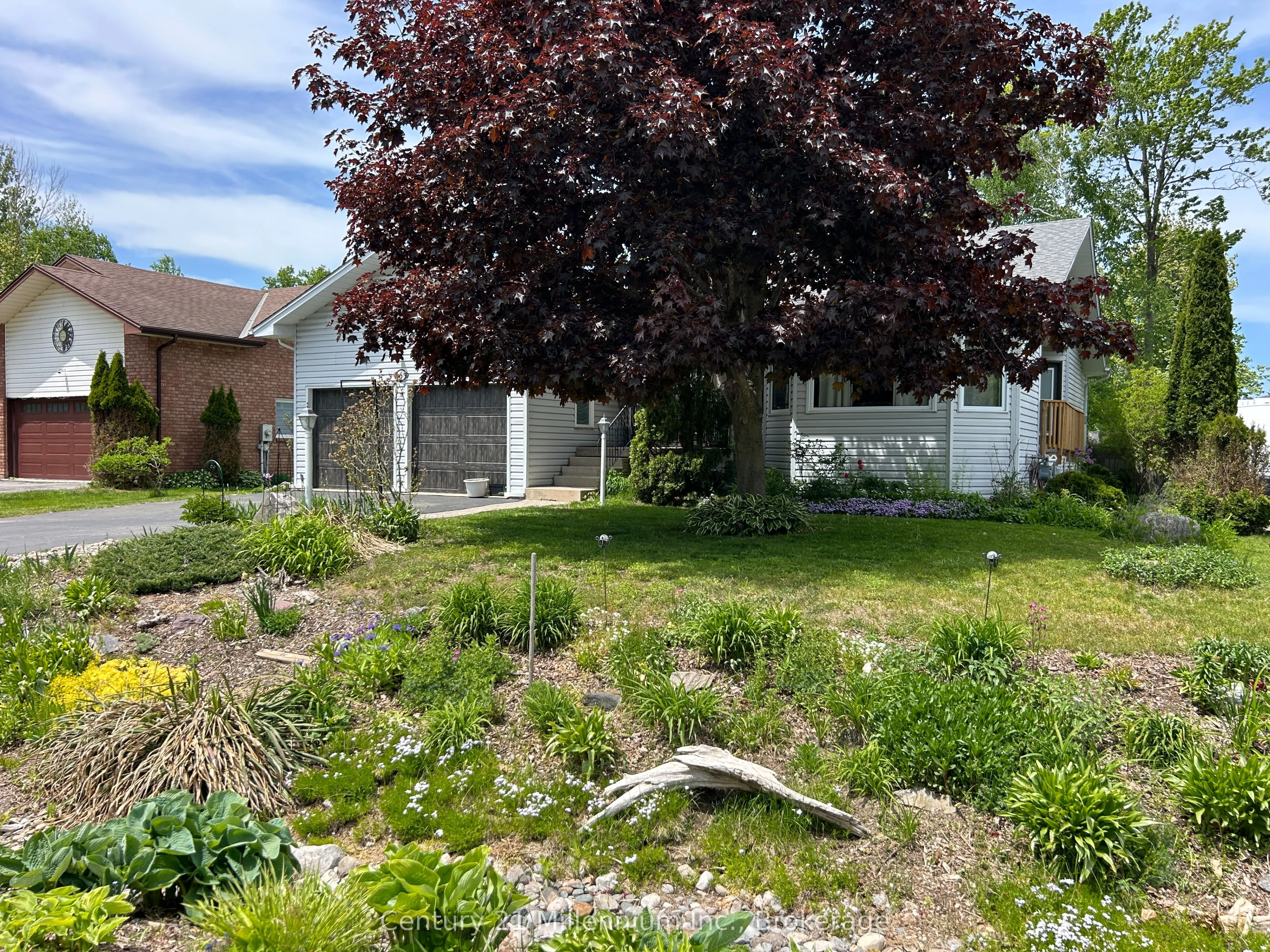 Detached Home For Sale | S13247688
