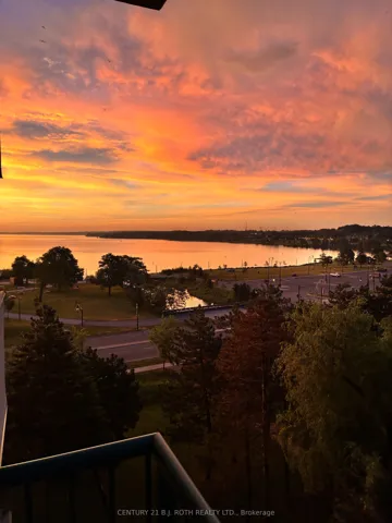 Good Morning Lake Simcoe