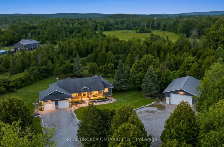 2.5 Acres Surrounded By Trees
