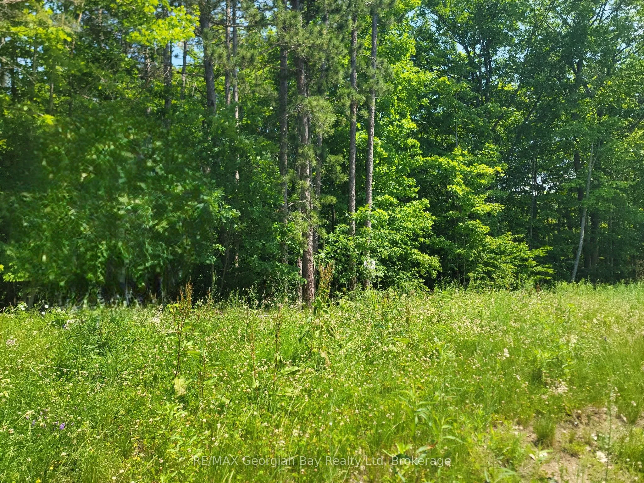 Vacant Land For Sale | S13508736
