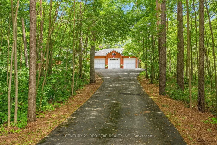 Long Driveway in