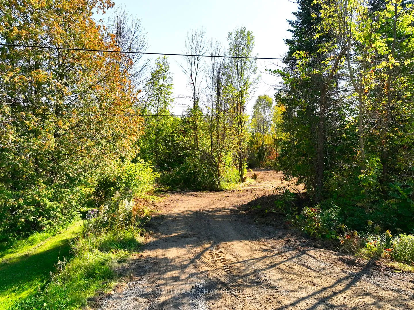 Vacant Land For Sale | S13731888