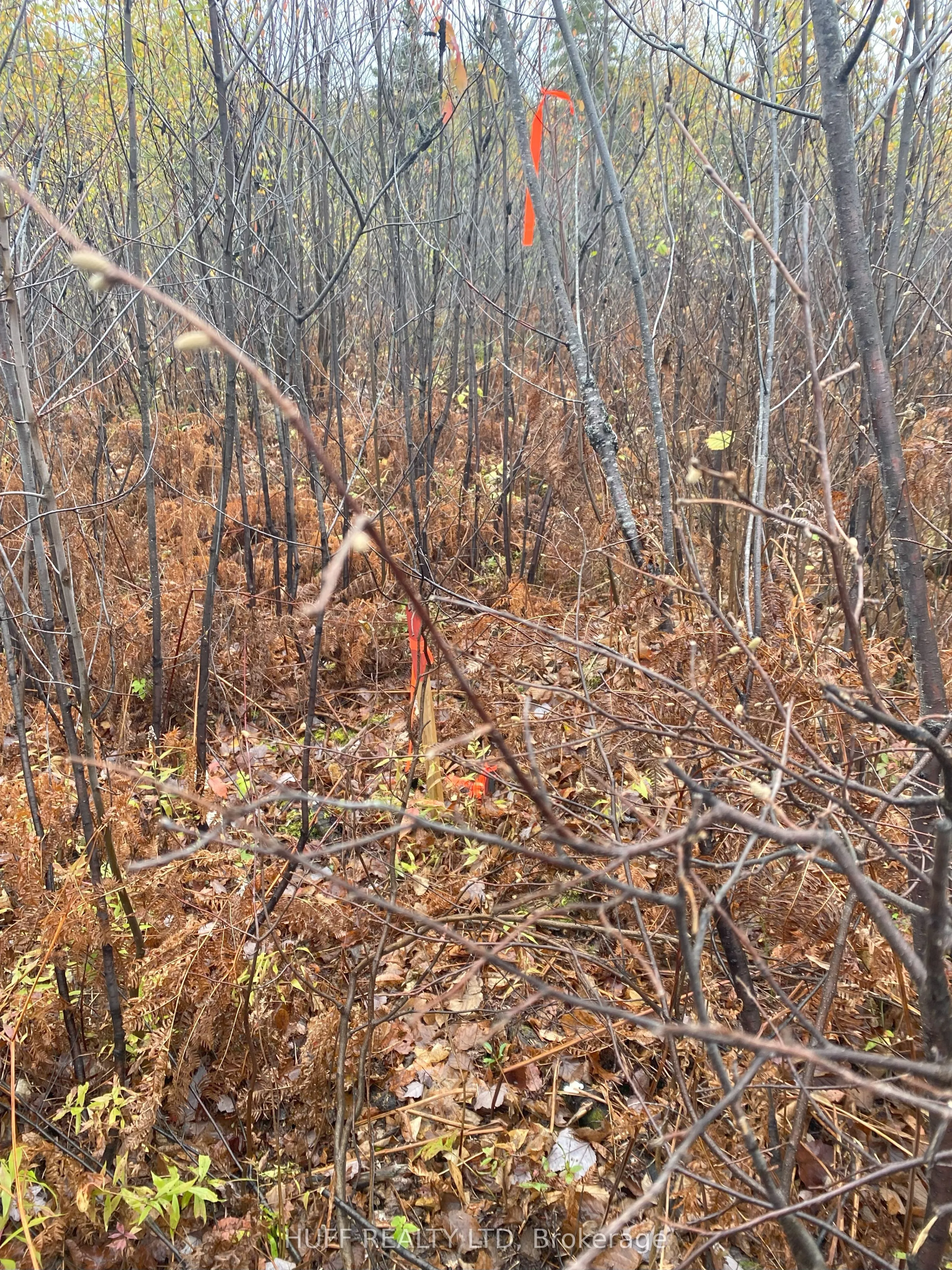 Vacant Land For Sale | T12357731