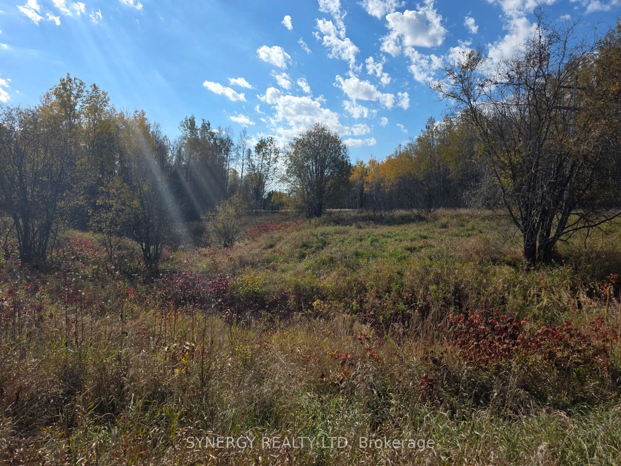 Vacant Land For Sale | T12389328