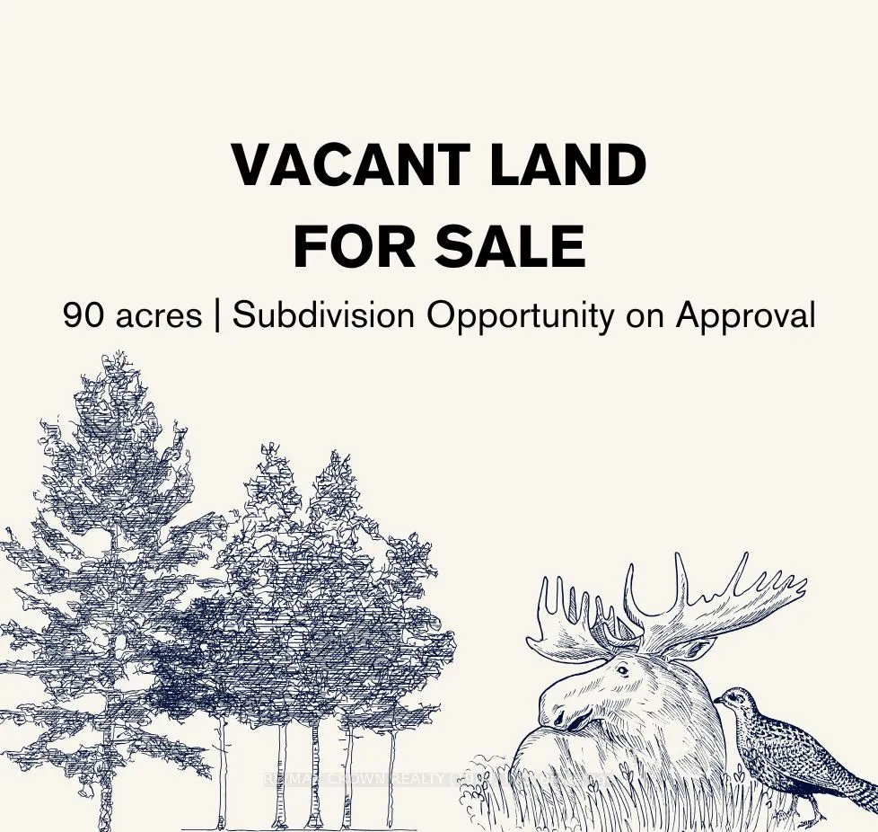 Vacant Land For Sale | T12419105