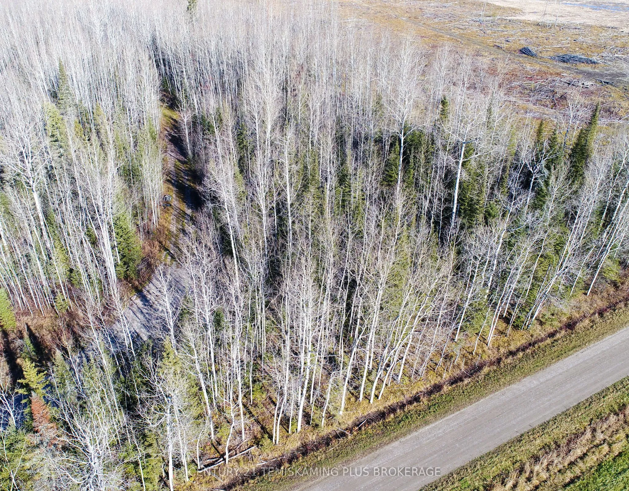 Vacant Land For Sale | T12524188