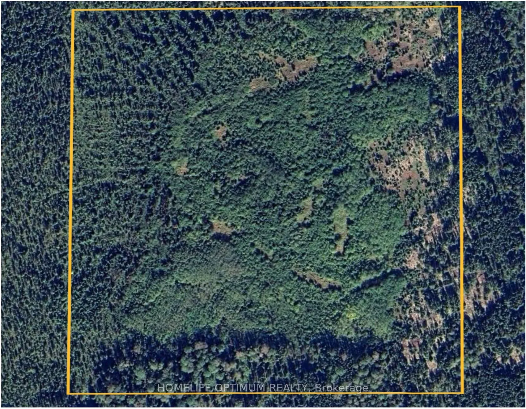 Vacant Land For Sale | T12648150