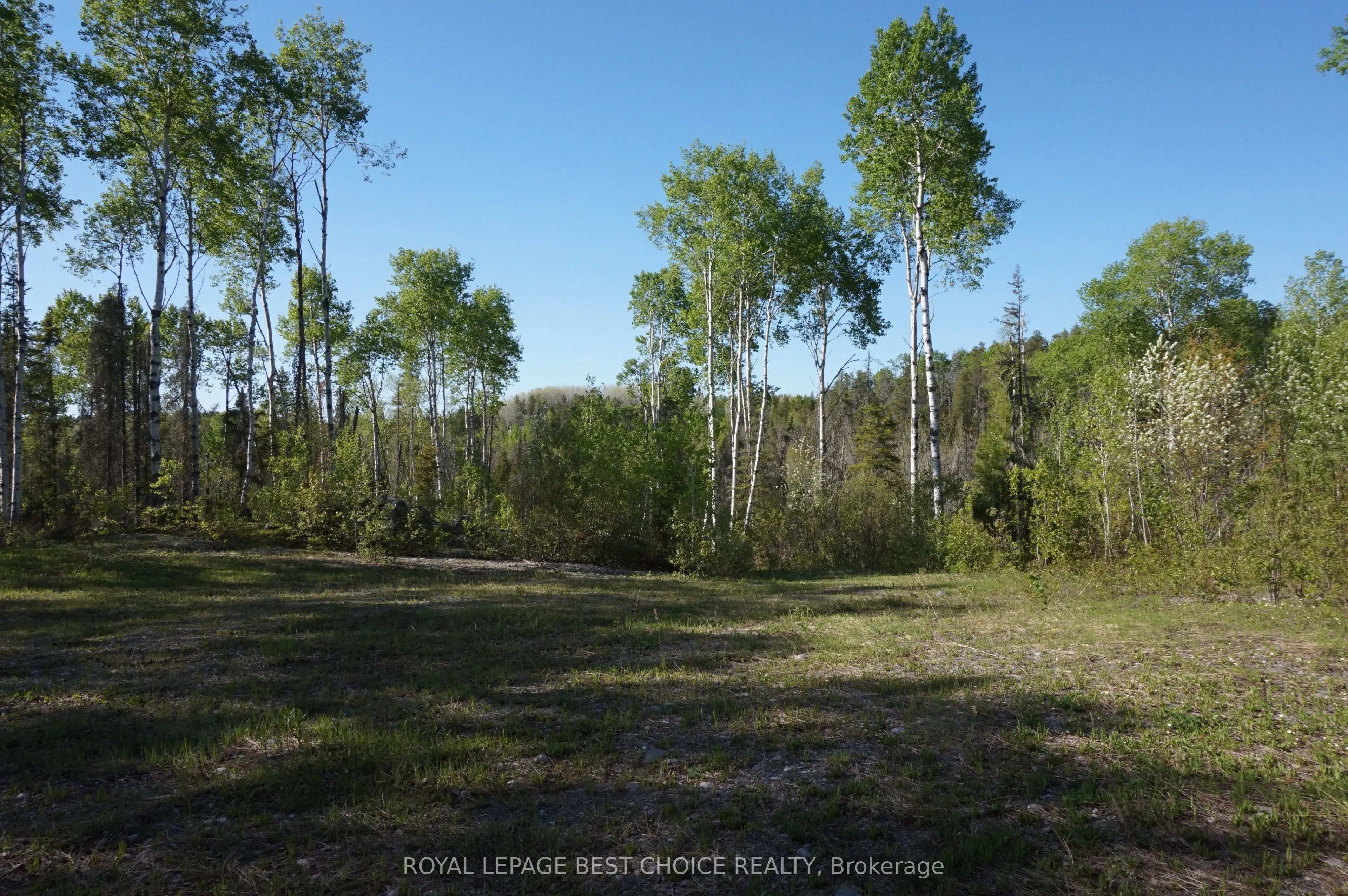 Vacant Land For Sale | T13074360