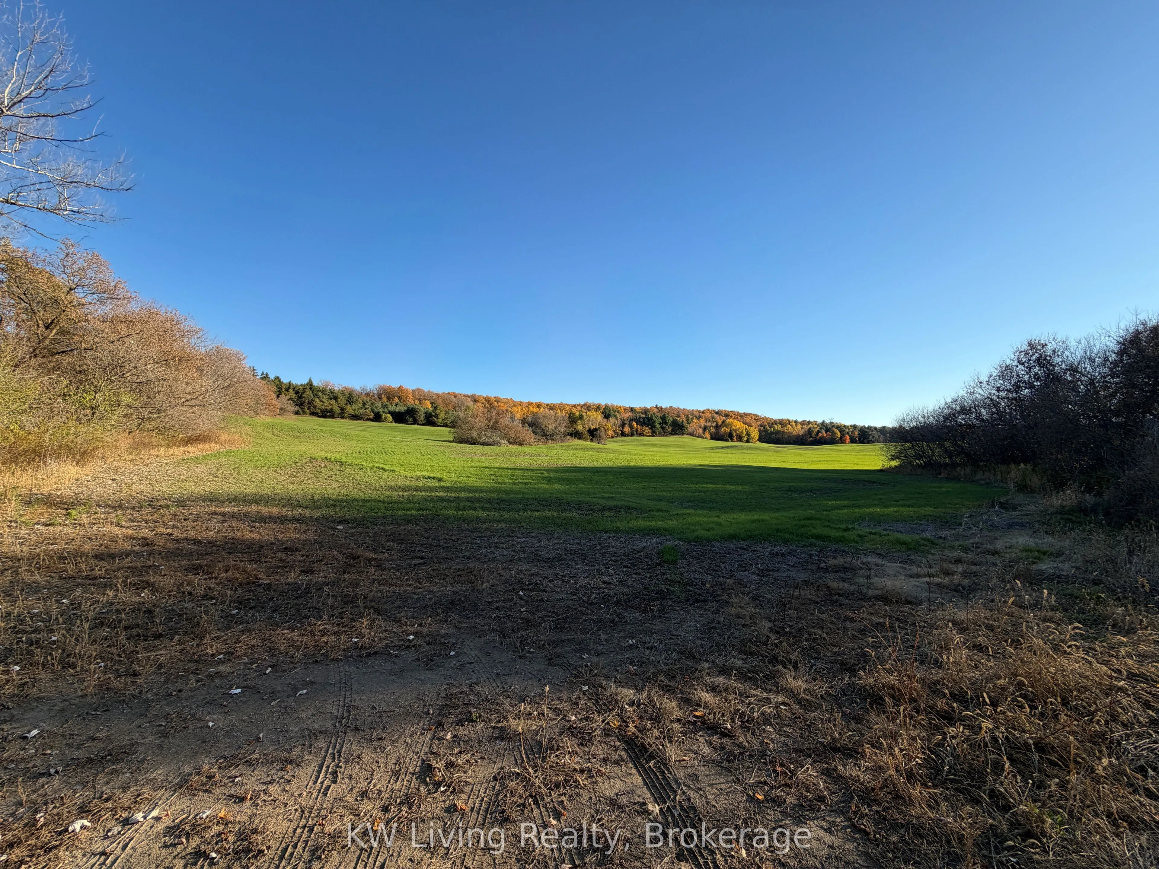 Land For Sale | W12542704
