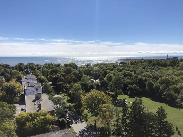 Bright South View