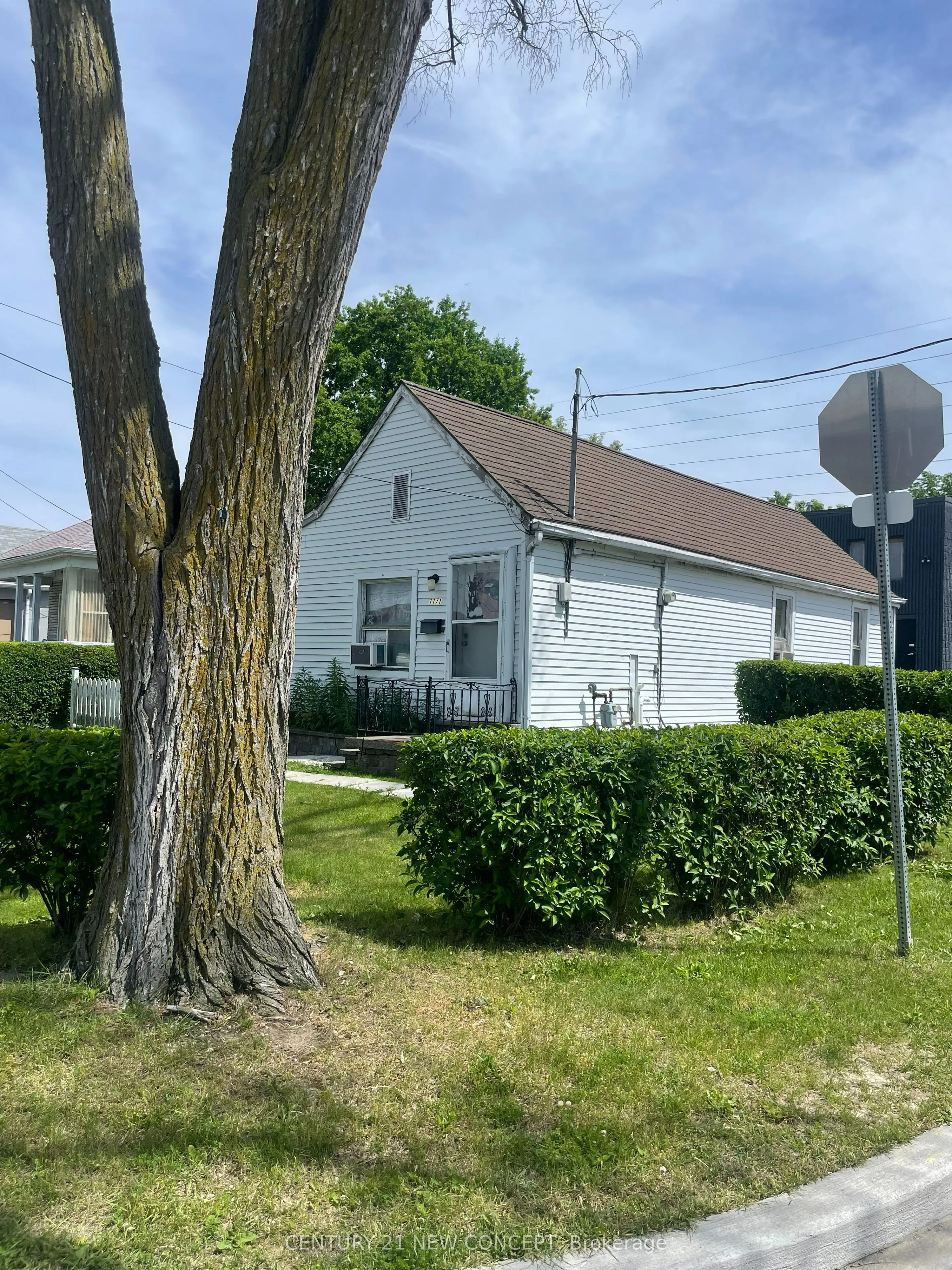 Detached Home For Sale | W12998658