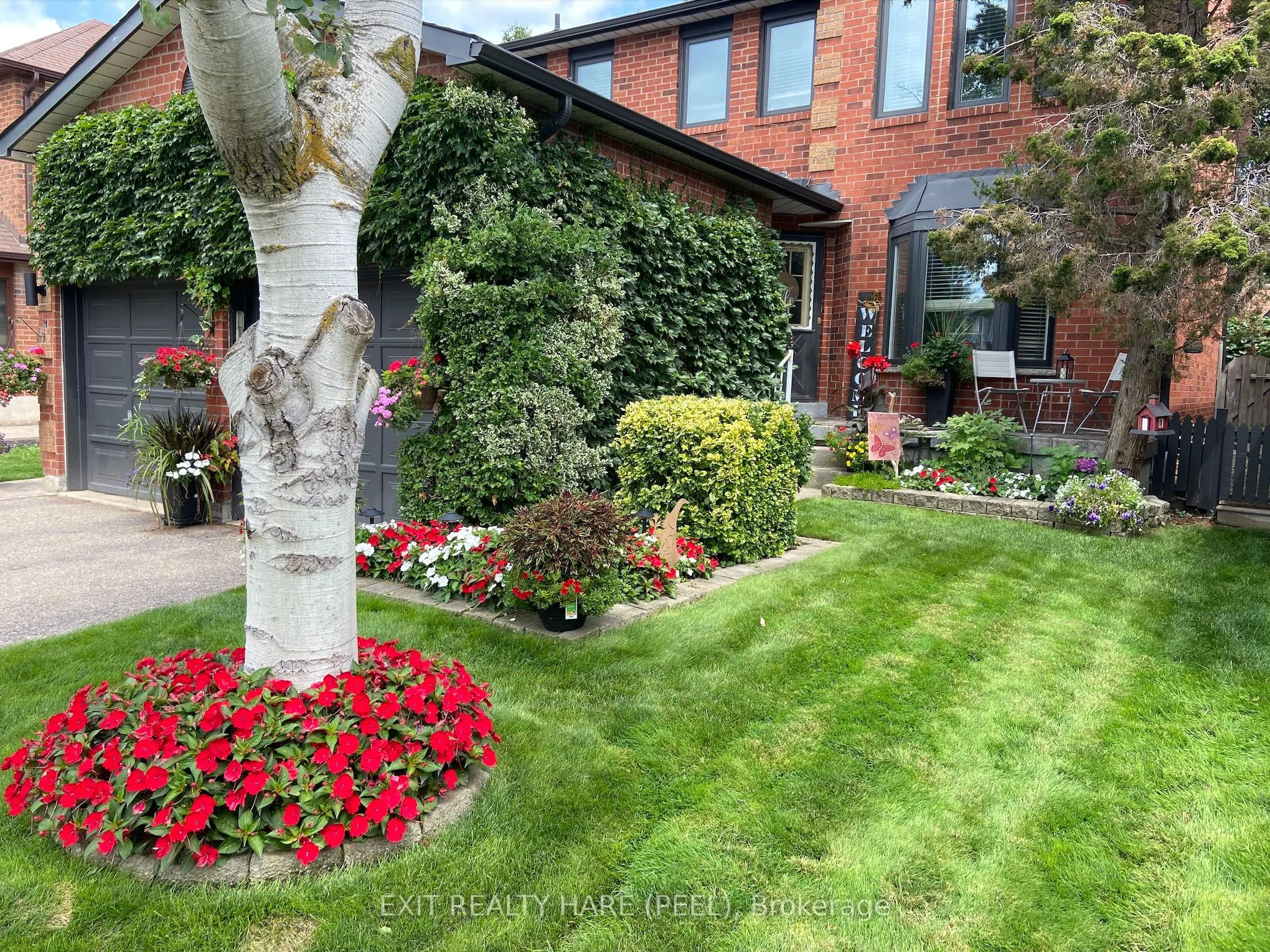 Detached Home For Sale | W13013326