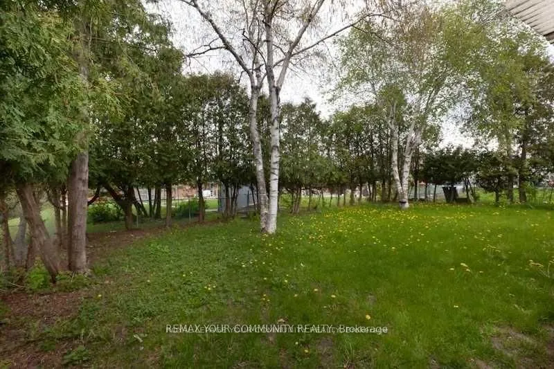 Detached Home For Sale | W13161198