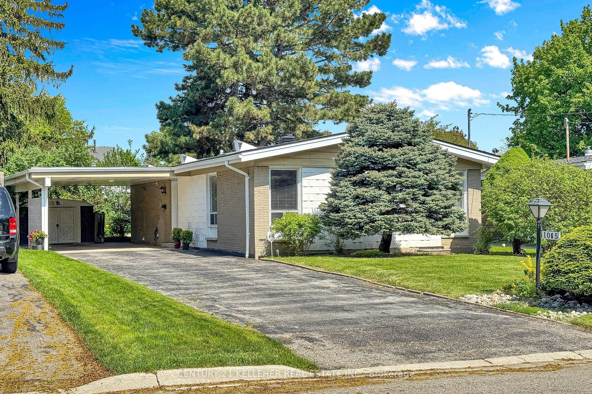 Detached Home For Sale | W13162316