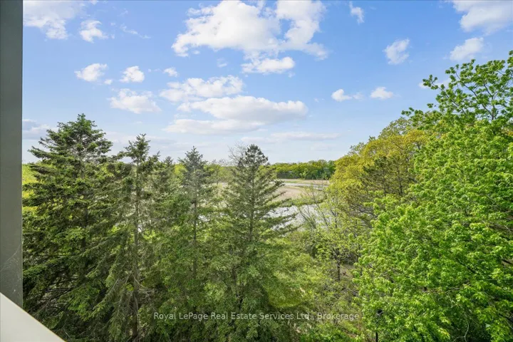 View from unit.