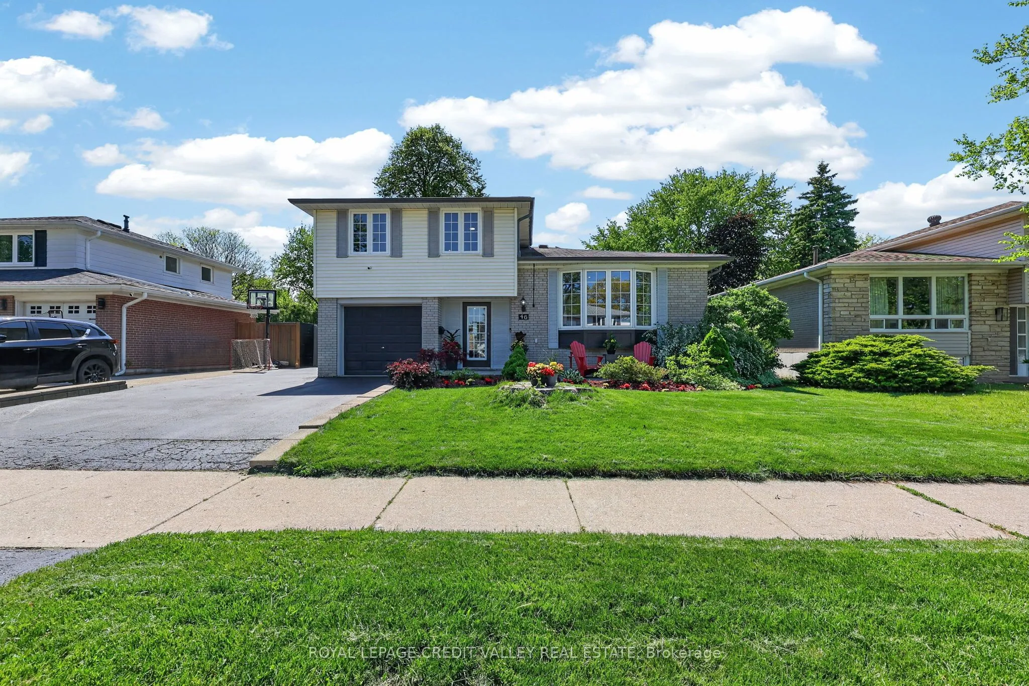 Detached Home For Sale | W13193272