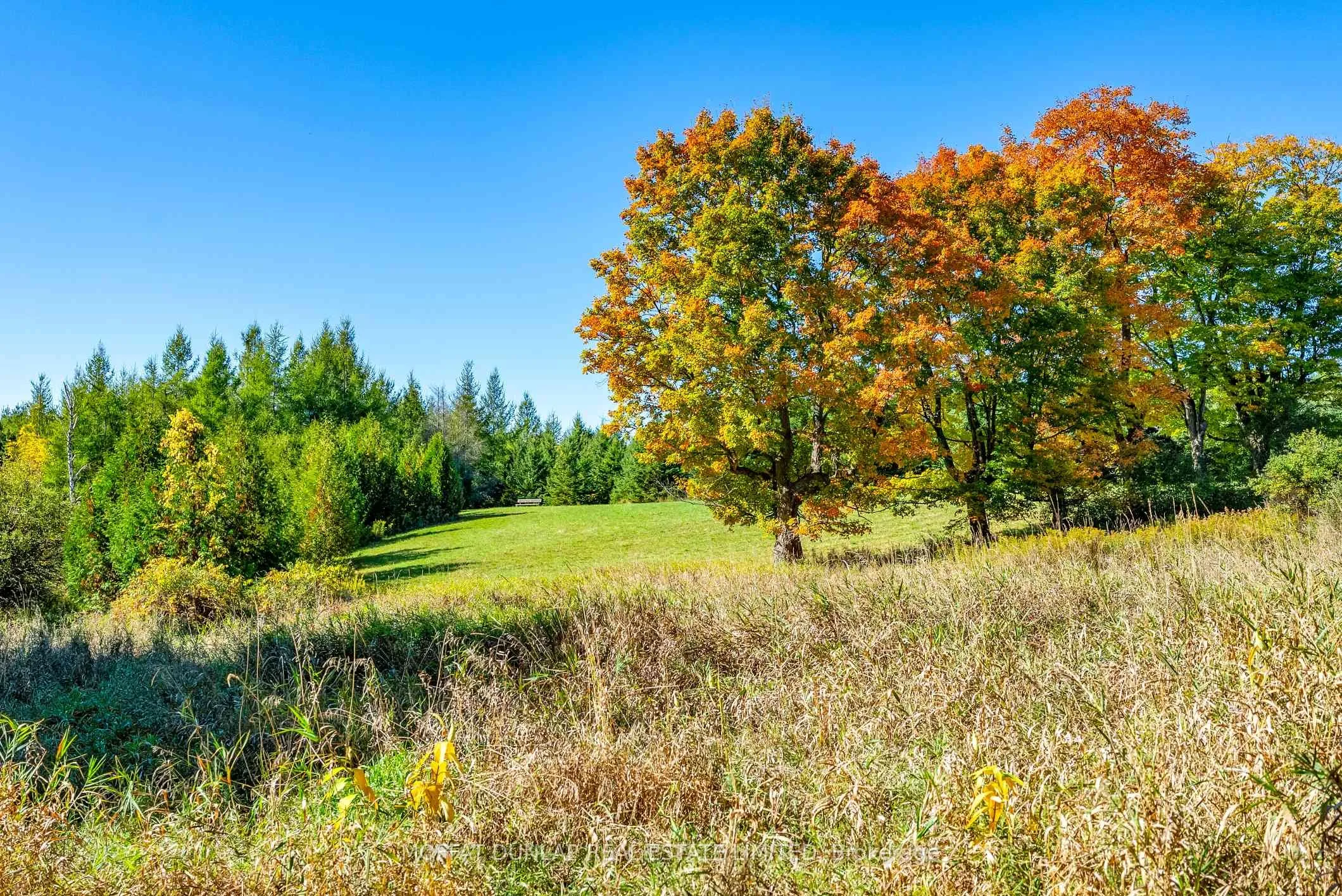 Vacant Land For Sale | W13428358