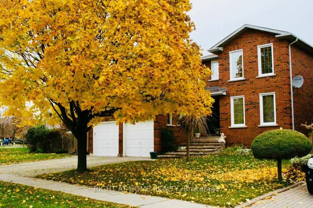 Detached Home For Lease | W13450052