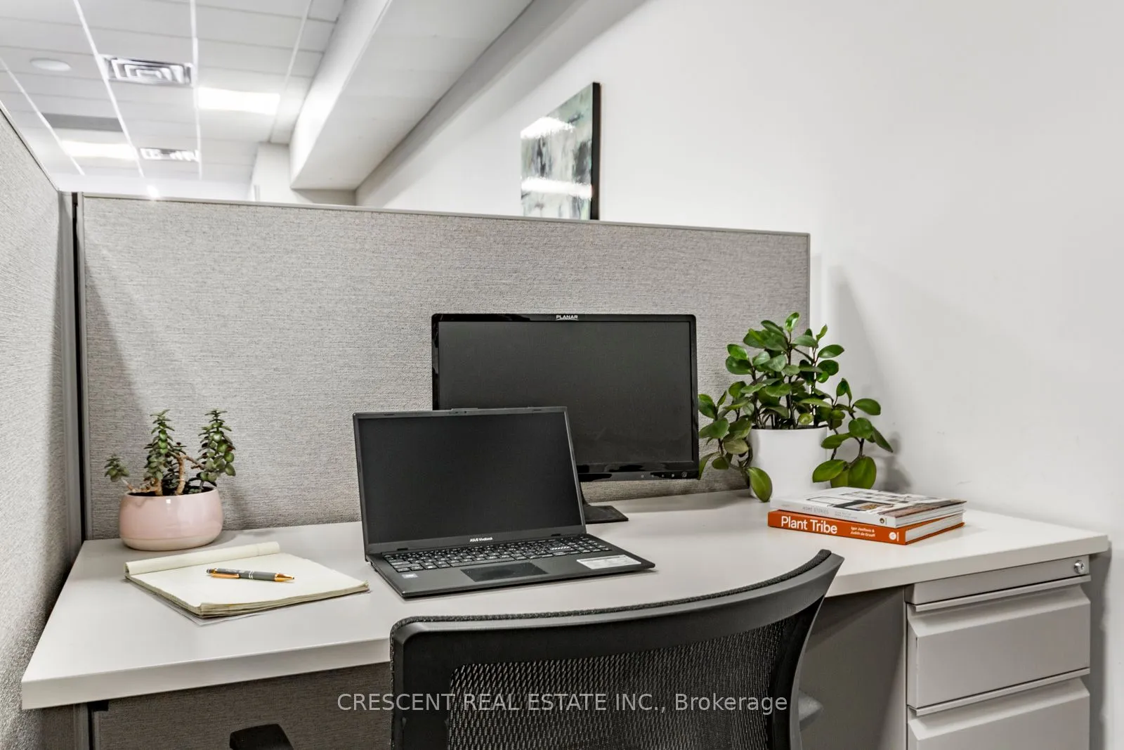 Office For Lease | W13495254