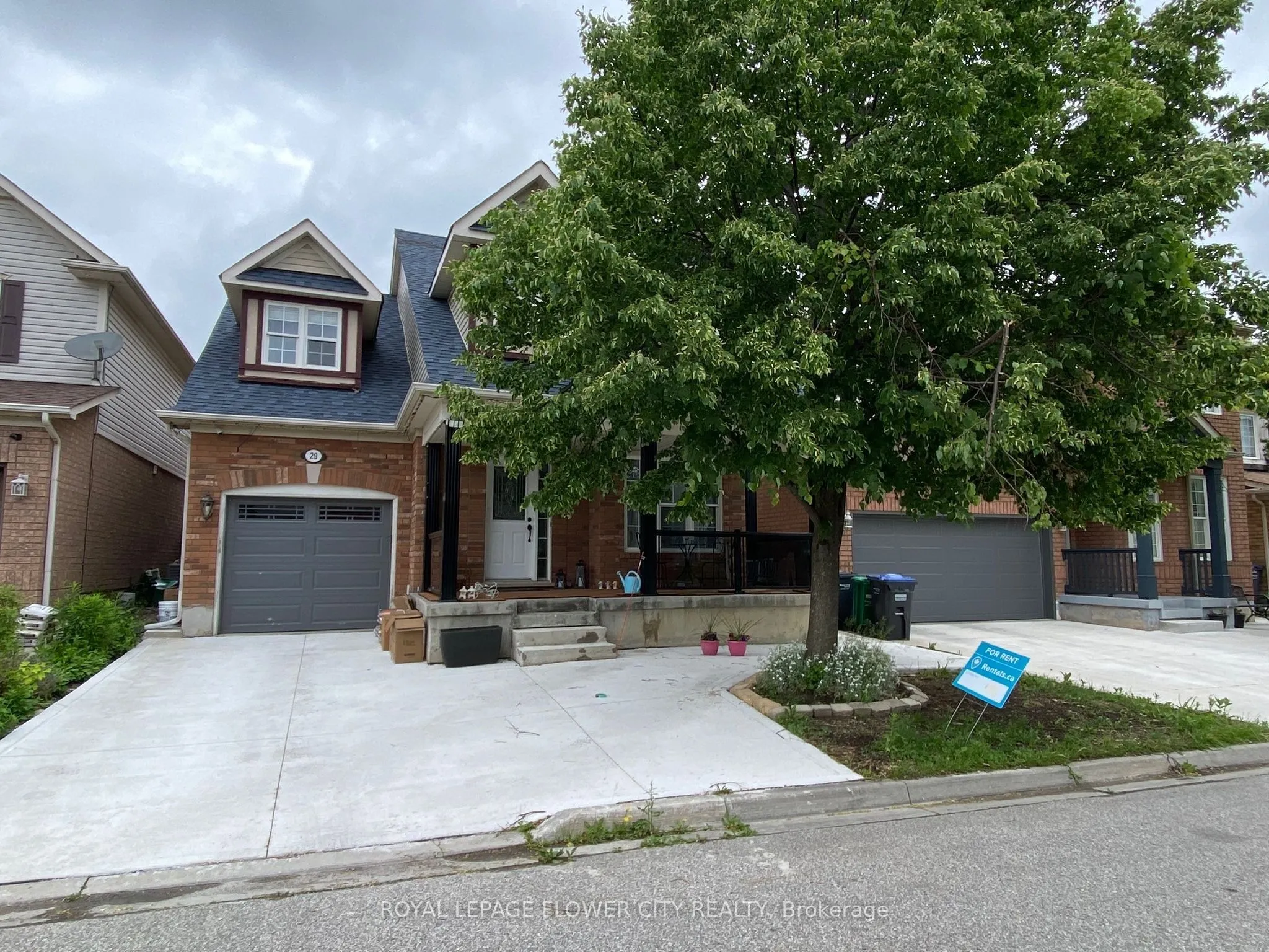 Detached Home For Lease | W13499844